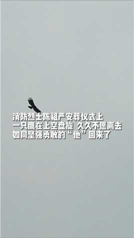 消防烈士陈祖严安葬仪式上，一只鹰在上空盘旋，久久不愿离去，如同坚强勇敢的“他”回来了！