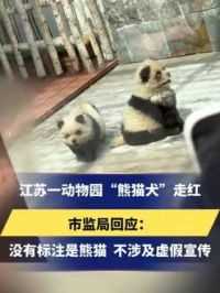 江苏一动物园“熊猫犬”走红
市监局回应：
没有标注是熊猫 不涉及虚假宣传
#泰州动物园 #熊猫犬