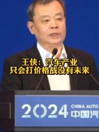 王侠：#汽车产业只会打价格战没有未来 #2024中国汽车重庆论坛