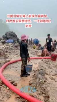 云南边境河滩上发现大量黄金村民每天冒雨淘洗，一天能淘到2克多