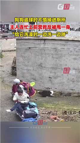 这是一条有味道的视频！3月14日，湖南湘潭。狗狗追球时不慎掉进厕所，主人连忙上前营救反被甩一身。