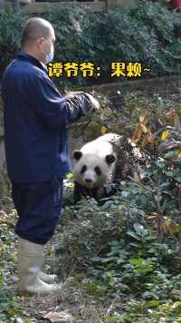 大熊猫和花 ：我这无处安放的魅力啊！