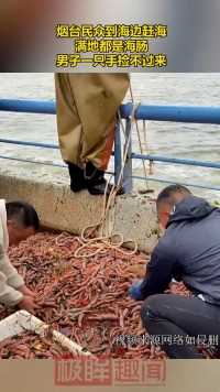 烟台民众到海边赶海 满地都是海肠男子一只手捡不过来