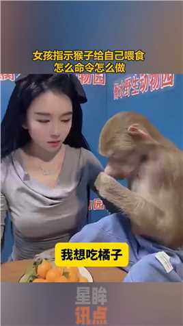 女孩指示猴子给自己喂食
                怎么命令怎么做