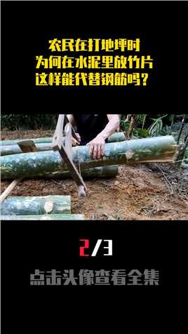 农民在打地坪时，为何在水泥里放竹片，这样能代替钢筋吗？ (2)