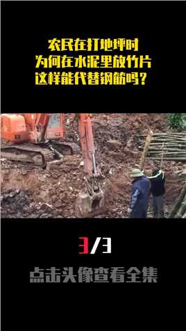 农民在打地坪时，为何在水泥里放竹片，这样能代替钢筋吗？ (3)