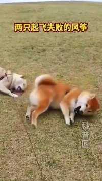 这个“超级变变变”我是服的，抓住神韵了!