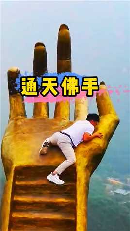 无人机在广东悬崖边发现了一只巨型佛手#中国美景