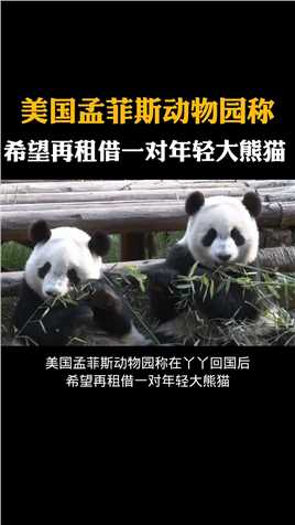 美国孟菲斯动物园称希望再租借一对大熊猫你同意吗,#科普知识 