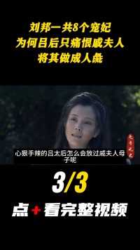 刘邦一共8个宠妃，为何吕后只痛恨戚夫人，将其做成人彘#刘邦#吕后#戚夫人#汉朝#历史 (3)