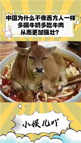 中国为什么不像西方人一样多喝牛奶多吃牛肉，从而更加强壮？