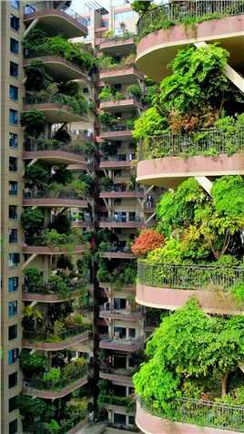 中国第四代商品房，每家都有自己的私人花园，把森林搬进了自家阳台，从高空看就像空中城市森林花园，被业内普遍称之为“中国第五大发明”。

