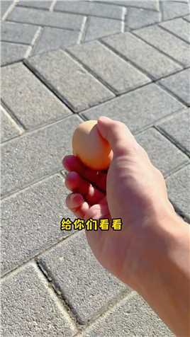 北京能有多热？我用鸡蛋做了个实验，结果…