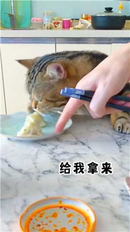 这是一只会用意念吃包子的猫咪~贪吃猫