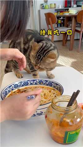 猫：吃不到螺狮粉，我也要把有螺狮粉味儿的空气吃光！贪吃猫