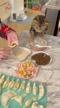 我妈说猫咪也要过冬至，所以给它包了猫粮馅的饺子~