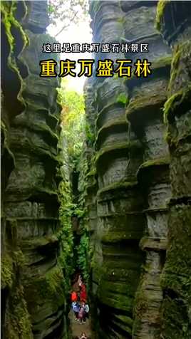 观四亿年前历史的沧海桑田，我国最古老的石林，被称为“石林之祖”，它就是重庆綦江万盛石林，又名龙鳞石海