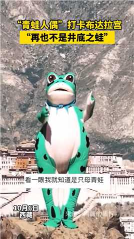 “青蛙人偶”打卡布达拉宫，“再也不是井底之蛙。”