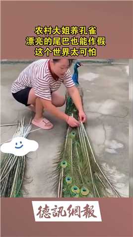 农村大姐养孔雀，漂亮的尾巴也能作假，这个世界太可怕。