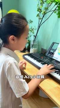 两位数入手的多功能电子琴，操作简单，轻松培养孩子音乐兴趣