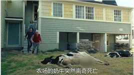《腐烂》第23集农场的奶牛离奇死亡，死因也非常的诡异