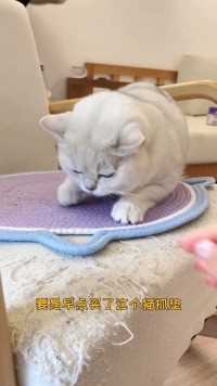 棉线纯手工编织的猫抓垫不仅耐抓还不会掉纸屑哦，家具终于可以被拯救了！当猫窝它们也超喜欢