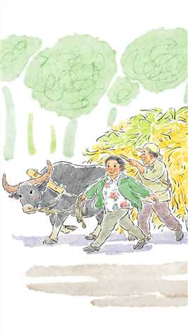 满载着幸福的老两口 连牛儿都看着很开心～#画一个故事 #人间烟火 #治愈系