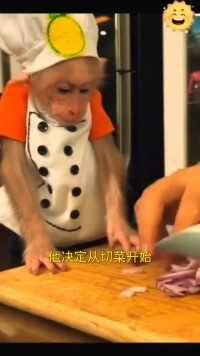 猴子学习想成为厨师，结果一直眨眼睛