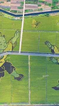 在河北希望的田野上，勤劳的农民用智慧勾勒出一幅巨型稻田画，成为一道靓丽的风景线！
