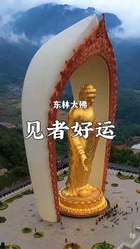 用48公斤黄金镀金的大佛你见过吗，全球最高的阿弥陀佛，它就是江西东林大佛，见者好运！