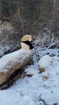 两处相思同淋雪，此生也算共白头。#熊猫#西柚熊猫