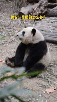 她好像一个人啊！#大熊猫和花