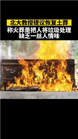 北大教授吴飞曾经提议恢复土葬制度，他认为现在的殡葬制度很不完善，简直就是在把过世的人当成垃圾来处理的，他对这种殡葬制度表示质疑，觉得这违背了一开始的意义 