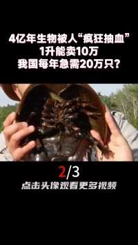 4亿年生物被人“疯狂抽血”，1升能卖10万，我国每年急需20万只？ (2)