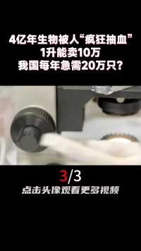 4亿年生物被人“疯狂抽血”，1升能卖10万，我国每年急需20万只？ (3)