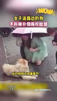 近日，江苏一女子逗路边的狗，不料被扑倒撕咬脸部！