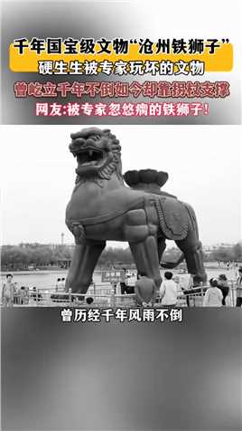 千年国宝级文物“沧州铁狮子”网友：被专家忽悠瘸的铁狮子！