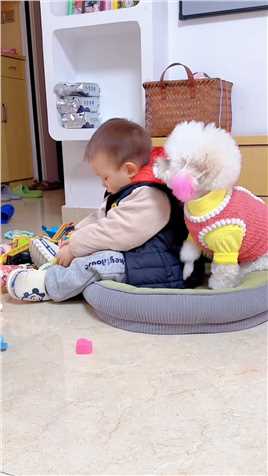 ---每天看着宝宝不让他坐地上玩#超有爱#哄娃神器#陪你长大