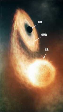 黑洞吞噬恒星的过程