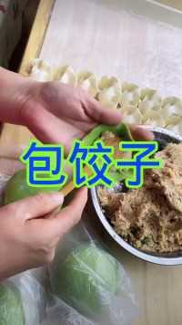 包饺子()