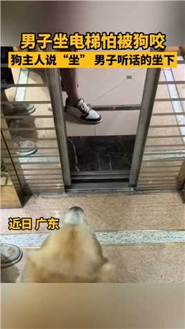 男子坐电梯怕被狗咬，狗主人说