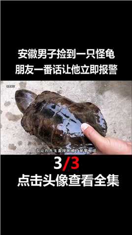 安徽男子捡到一只怪龟，竟然不会缩头，朋友一番话让他立即报警乌龟鹰嘴龟保护动物肉龟动物救助3
