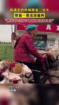 路遇老奶奶骑蹬着三轮车，带着一堆流浪猫狗，“愿每个毛孩子都能被温柔以待”