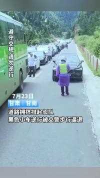 道路拥挤排起长队，黑色小车逆行被交警步行逼退！#搞笑 