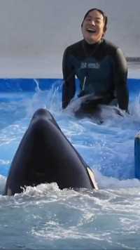 就是玩儿#虎鲸 #海洋馆 #打水仗 #动物迷惑行为大赏