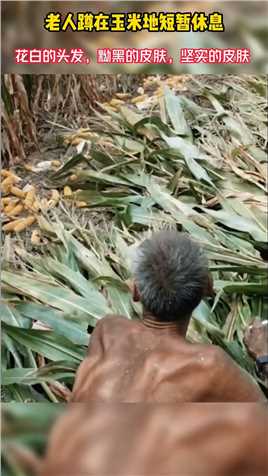 老人蹲在玉米地短暂休息，花白的头发，黝黑的皮肤，坚实的皮肤 