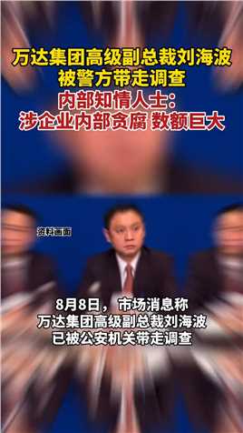 万达内部知情人士回应“刘海波被警方带走调查”：涉企业内部贪腐，数额巨大。