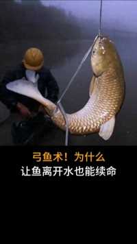 弓鱼术，为什么可以让鱼离开水也能续命#科普#弓鱼术#鱼