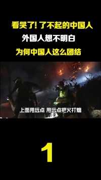 外国人想不明白为何中国这么团结，这就是了不起的中国人！#看哭了#了不起的中国人#重庆山火 (1)