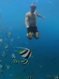 马尔代夫的水下世界#水下摄影 #与鱼共舞